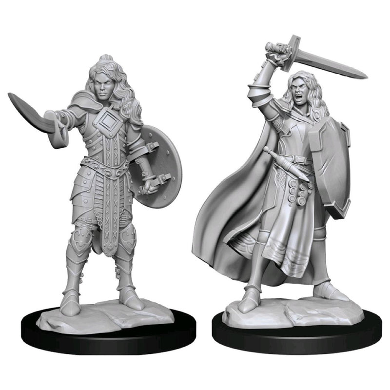 Pathfinder Deepcuts Unpainted Miniatures Human Champion Female-1