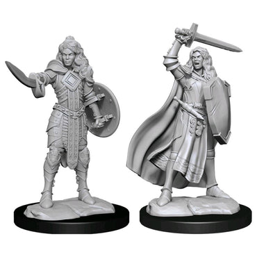 Pathfinder Deepcuts Unpainted Miniatures Human Champion Female