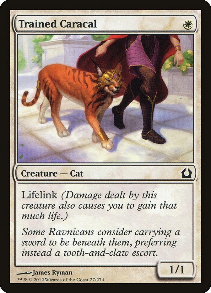 Trained Caracal [Return to Ravnica]-1