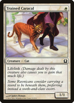Trained Caracal [Return to Ravnica]-1