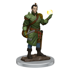 D&D Premium Painted Figures Half-Elf Bard Male-1