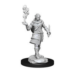 Critical Role Unpainted Miniatures Pallid Elf Rogue and Bard Male (2)-1