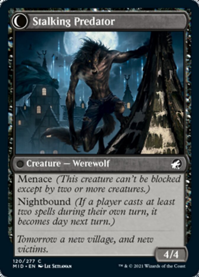 Shady Traveler // Stalking Predator [Innistrad: Midnight Hunt]-2