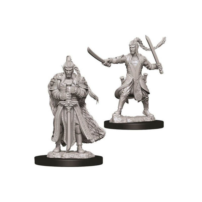 D&D Nolzurs Marvelous Unpainted Miniatures Male Elf Paladin-1