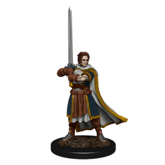 D&D Premium Painted Figures Human Cleric Male-1