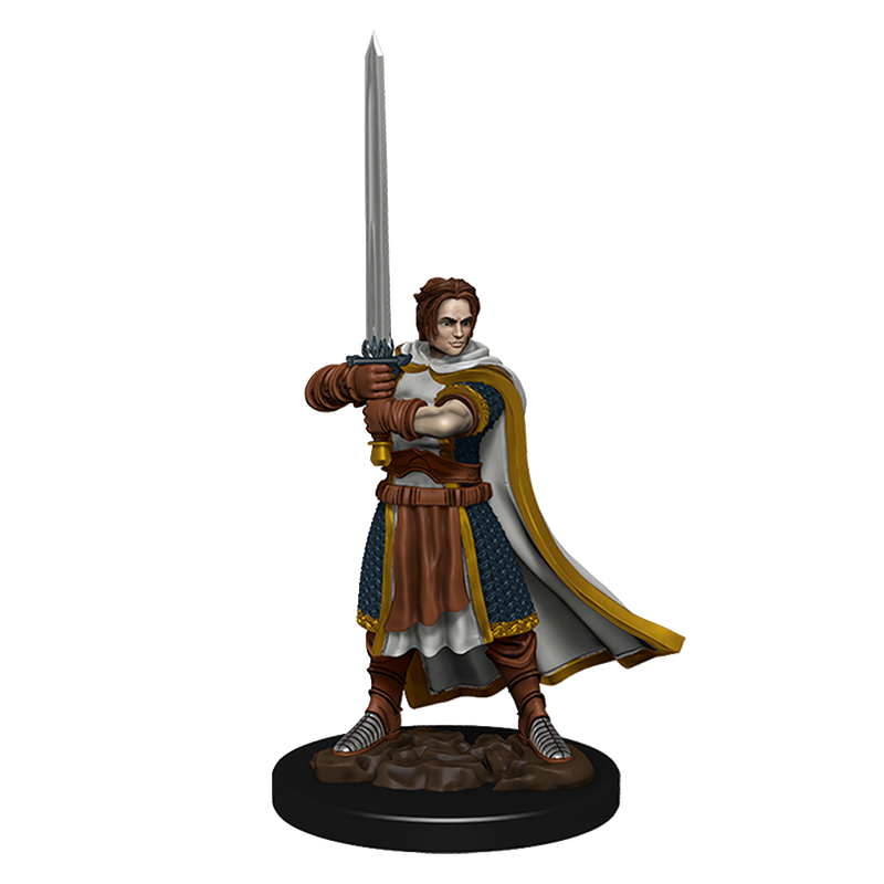 D&D Premium Painted Figures Human Cleric Male-1
