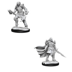 D&D Nolzurs Marvelous Unpainted Miniatures Dragonborn Fighter Female-1