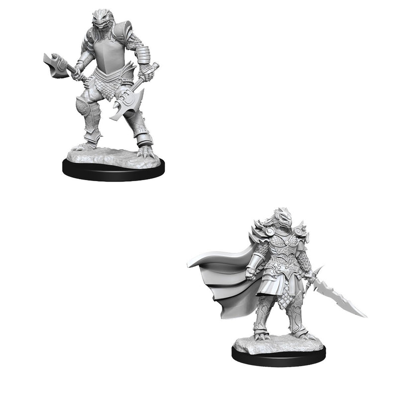 D&D Nolzurs Marvelous Unpainted Miniatures Dragonborn Fighter Female-1