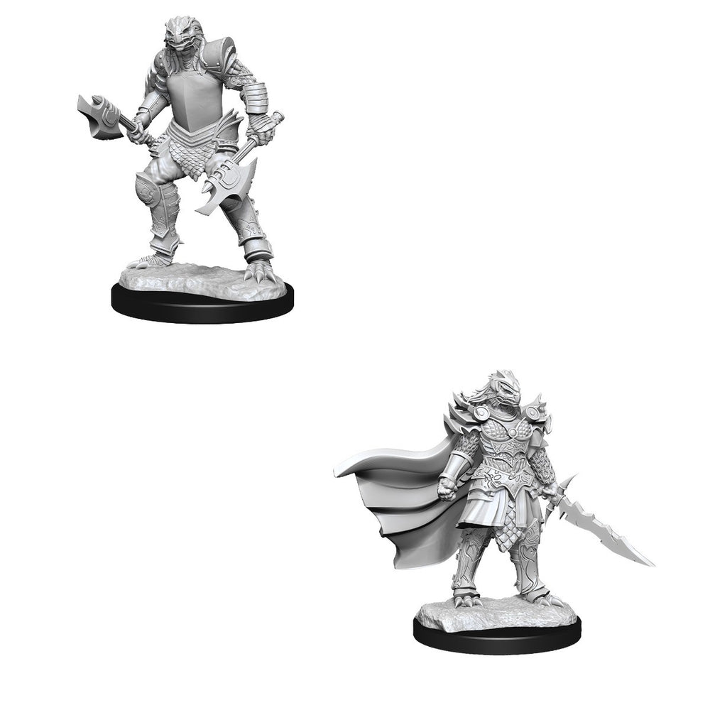 D&D Nolzurs Marvelous Unpainted Miniatures Dragonborn Fighter Female