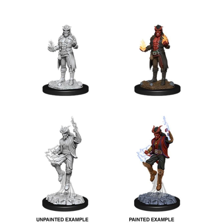 D&D Nolzurs Marvelous Unpainted Miniatures Male Tiefling Sorcerer-1