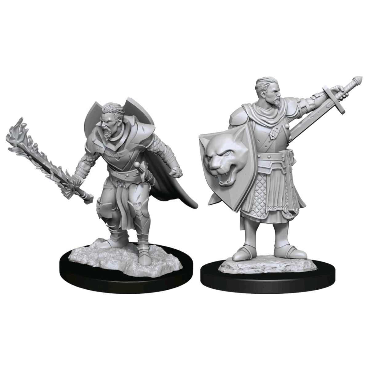 Pathfinder Deepcuts Unpainted Miniatures Human Champion Male-1