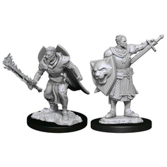 Pathfinder Deepcuts Unpainted Miniatures Human Champion Male-1