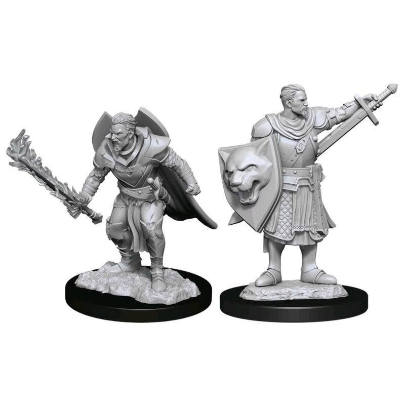 Pathfinder Deepcuts Unpainted Miniatures Human Champion Male-1