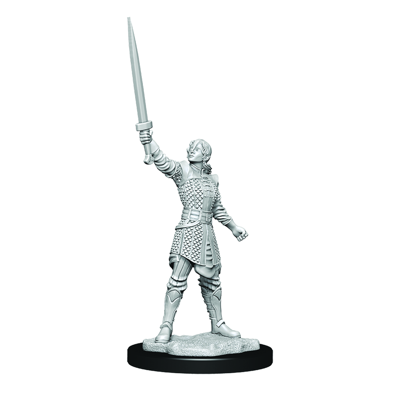 Critical Role Unpainted Miniatures Human Dwendalian Empire Fighter Female (2)-1
