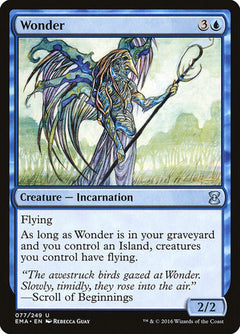 Wonder [Eternal Masters]-1