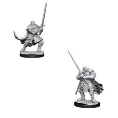 D&D Nolzurs Marvelous Unpainted Miniatures Half-Orc Paladin Male-1