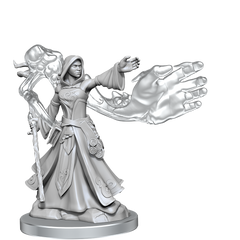 D&D Frameworks Elf Wizard Female-1