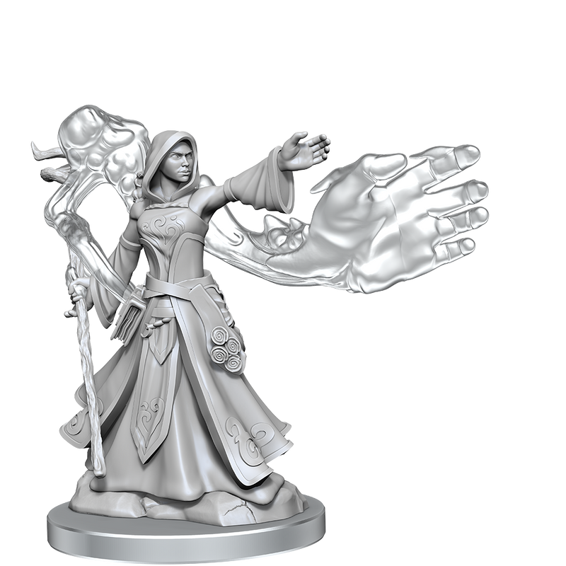 D&D Frameworks Elf Wizard Female-1