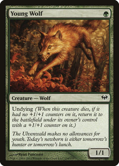 Young Wolf [Dark Ascension]-1
