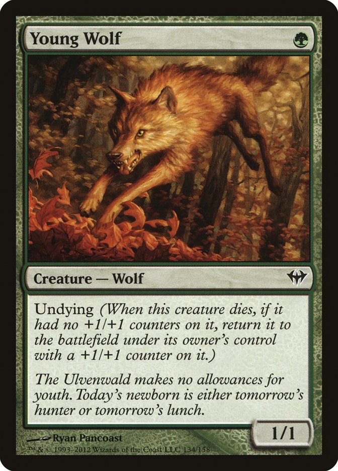 Young Wolf [Dark Ascension]-1