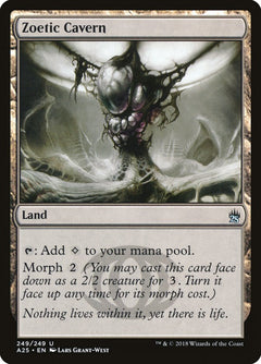 Zoetic Cavern [Masters 25]-1