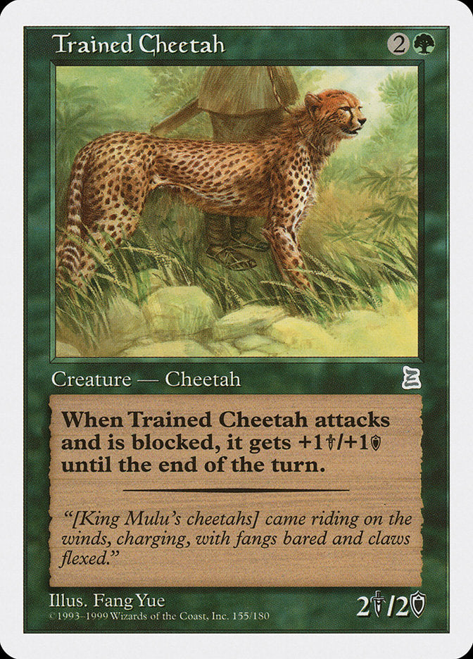 Trained Cheetah [Portal Three Kingdoms]-1