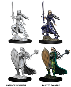 D&D Nolzurs Marvelous Unpainted Miniatures Female Elf Paladin-1
