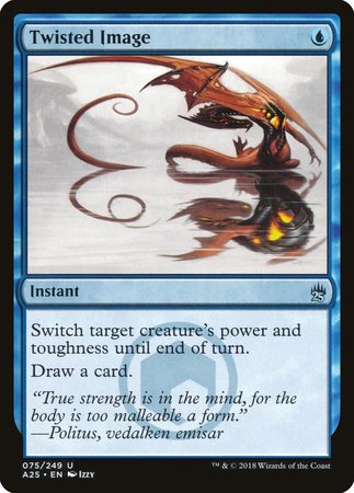 Twisted Image [Masters 25]-1