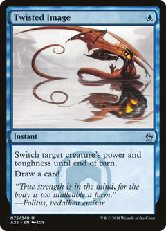 Twisted Image [Masters 25]-1