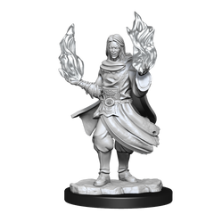 Critical Role Unpainted Miniatures Hollow One Rogue and Sorceror Male (2)-1
