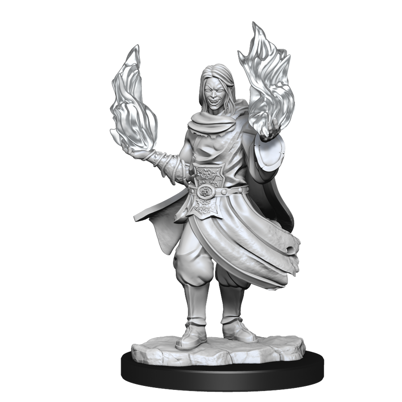 Critical Role Unpainted Miniatures Hollow One Rogue and Sorceror Male (2)-1
