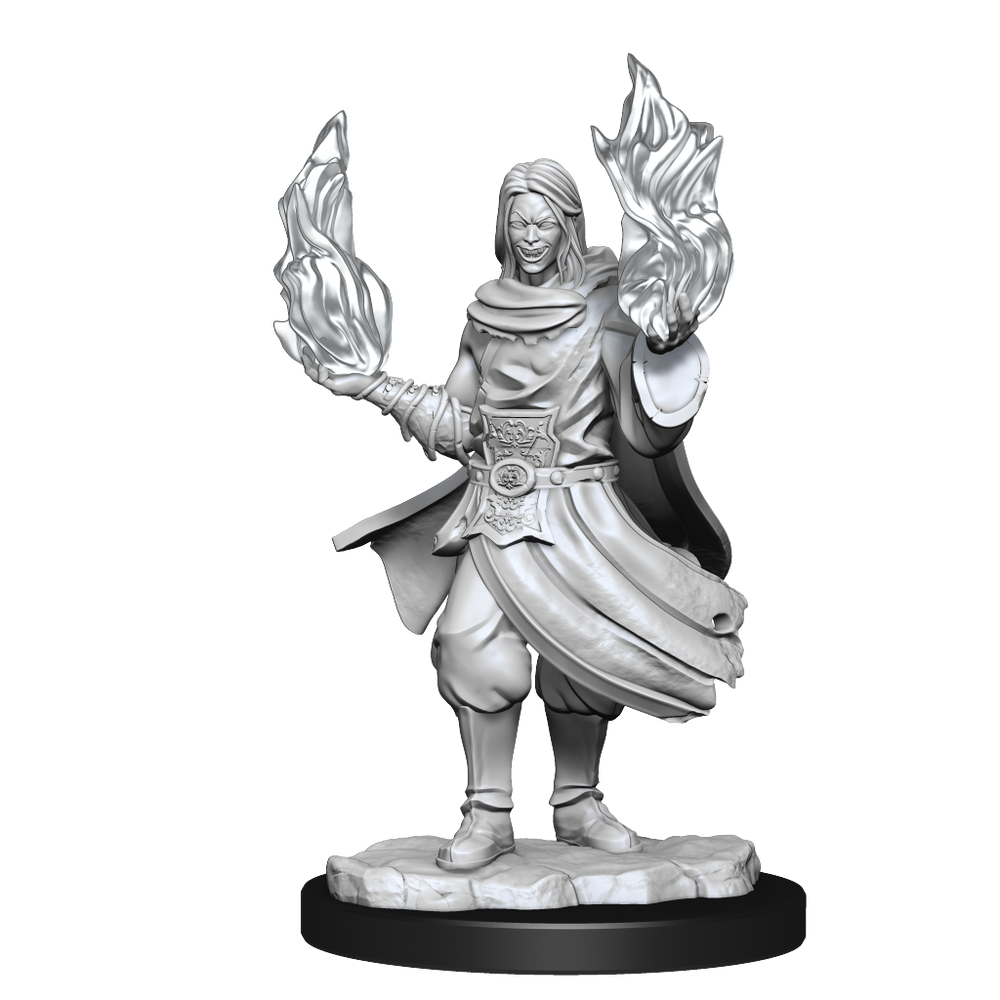 Critical Role Unpainted Miniatures Hollow One Rogue and Sorceror Male (2)