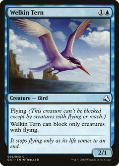 Welkin Tern [Global Series Jiang Yanggu & Mu Yanling]-1