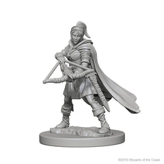 D&D Nolzurs Marvelous Unpainted Miniatures Human Female Ranger-1