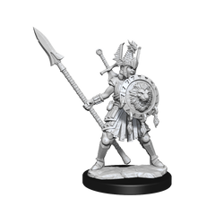 D&D Frameworks Human Fighter Female-2