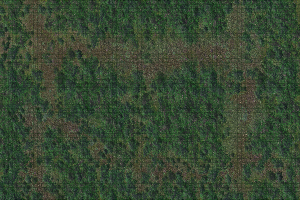 D&D Icons of the Realms Forest Battle Mat-1