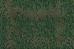 D&D Icons of the Realms Forest Battle Mat-1