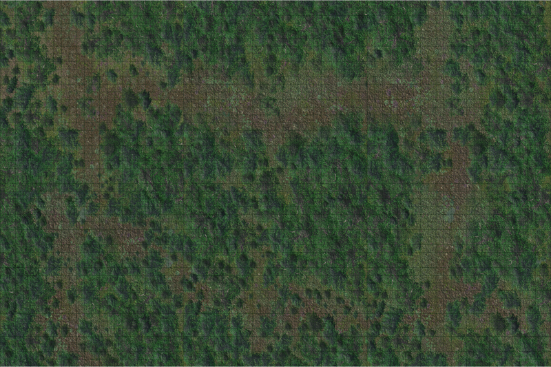 D&D Icons of the Realms Forest Battle Mat-1