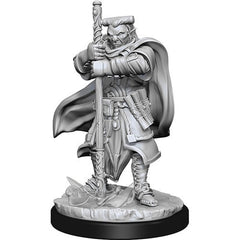 D&D Nolzurs Marvelous Unpainted Miniatures Hobgoblin Devastator & Hobgoblin Iron Shadow-1