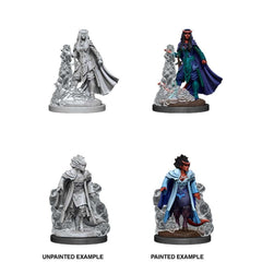 D&D Nolzurs Marvelous Unpainted Miniatures Female Tiefling Sorcerer-1
