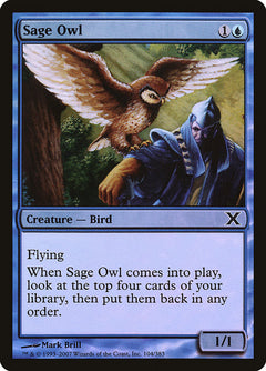 Sage Owl (Premium Foil) [Tenth Edition]-1