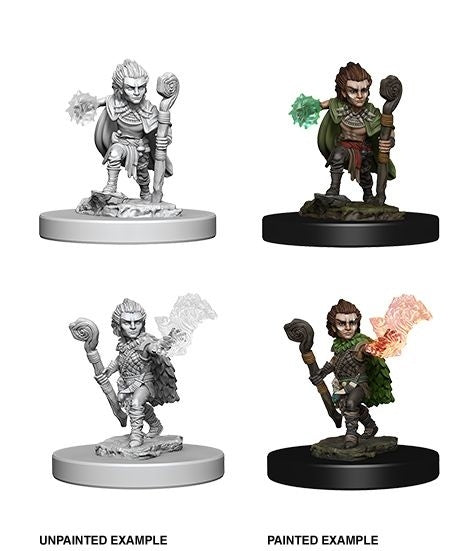 Pathfinder Deep Cuts Unpainted Miniatures Gnome Male Druid-1