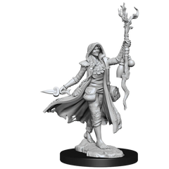 D&D Frameworks Human Druid Female-2
