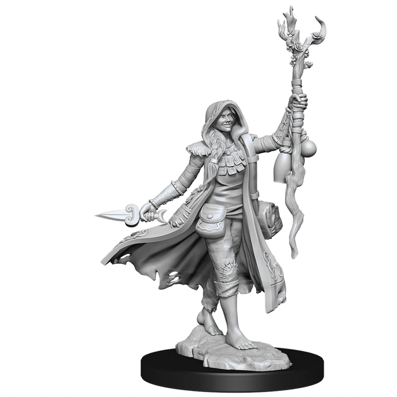 D&D Frameworks Human Druid Female-2