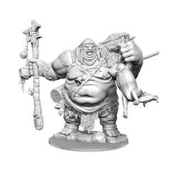 D&D Frameworks Hill Giant-3