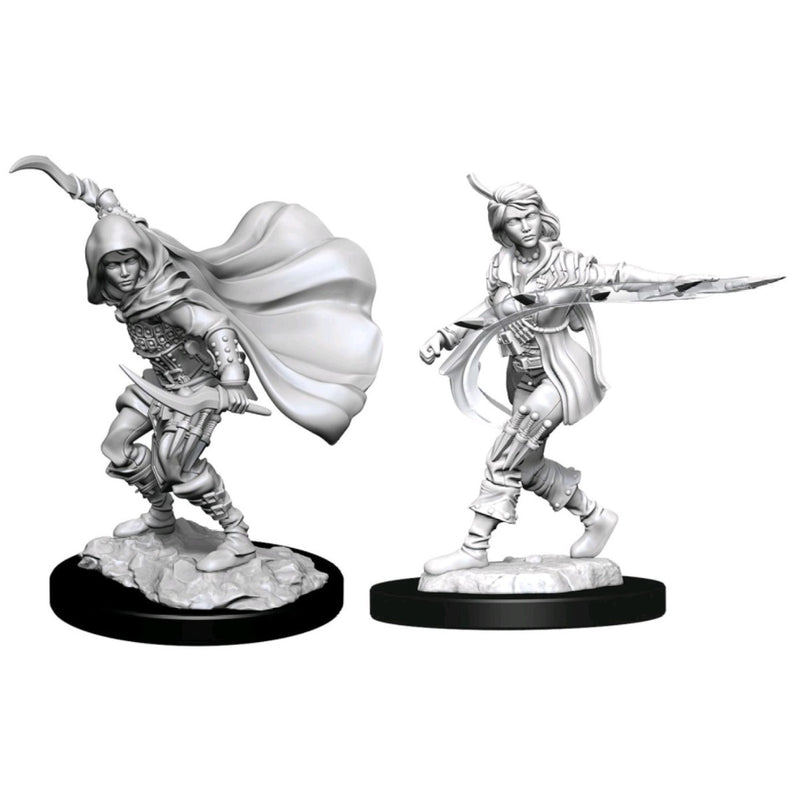 Pathfinder Deepcuts Unpainted Miniatures Human Rogue Female-1