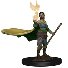 D&D Premium Painted Figures Elf Female Druid-1