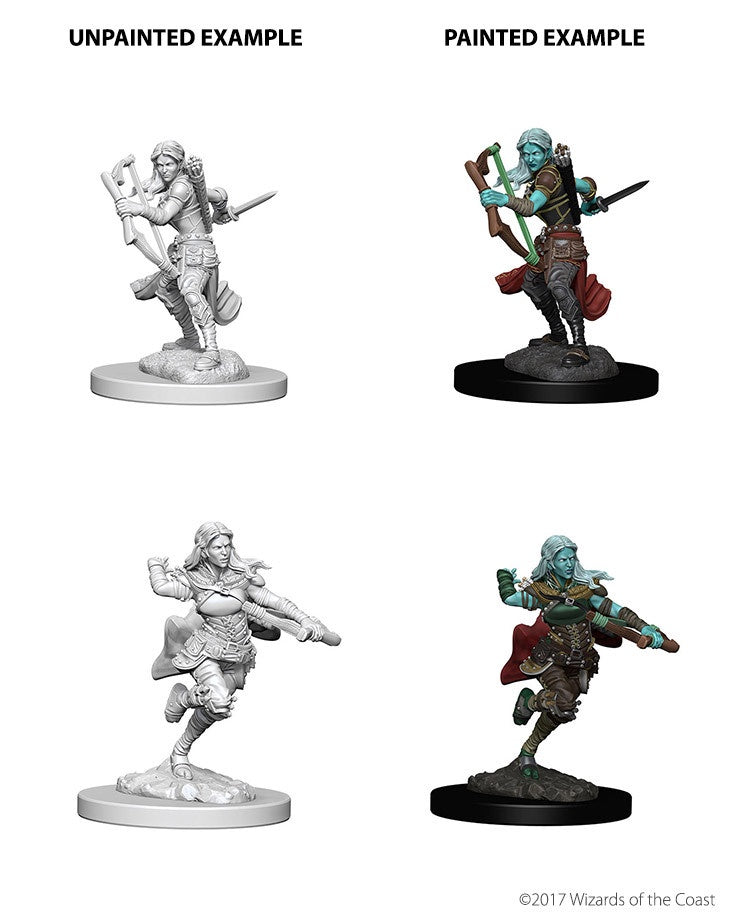 D&D Nolzurs Marvelous Unpainted Miniatures Air Genasi Female Rogue-1