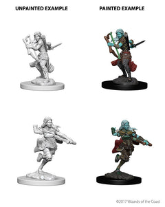 D&D Nolzurs Marvelous Unpainted Miniatures Air Genasi Female Rogue-1