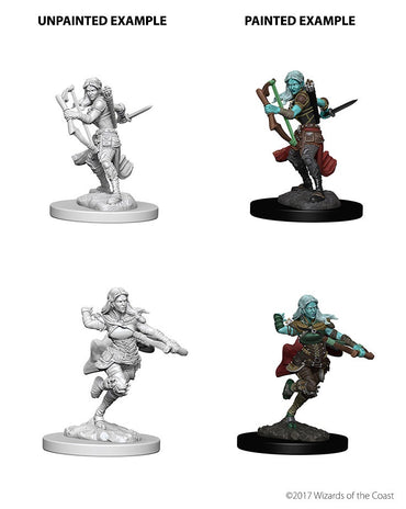 D&D Nolzurs Marvelous Unpainted Miniatures Air Genasi Female Rogue